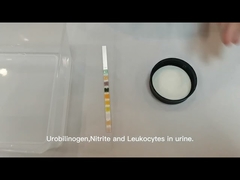 How does the Reagent Strips for Urinalysis test?