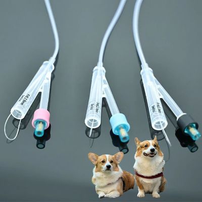 Giá tốt Ống thông tiểu cho chó mèo - Vật liệu PVC/Silicone chất lượng cao, Giải pháp bền bỉ cho việc chăm sóc thú cưng trực tuyến