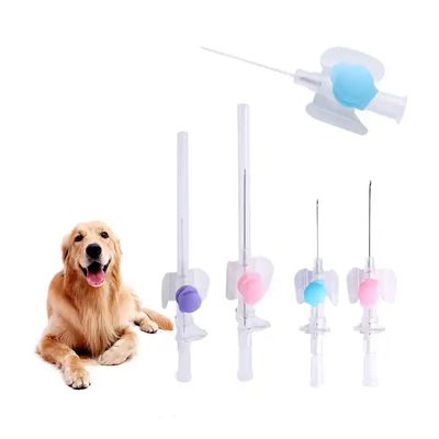 Giá tốt Chứng chỉ ISO dùng một lần IV Canula kim tiêm tĩnh mạch ống thông thú y Bướm loại IV Canula trực tuyến