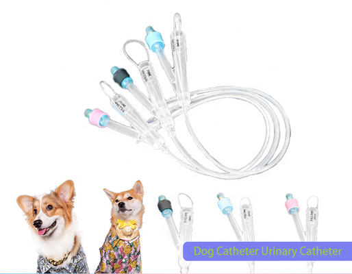 Mua Ống thông Foley silicon 2 chiều siêu trơn, phủ silicon ưa nước, dùng trong thú y, phẫu thuật tiết niệu cho chó sản xuất trực tuyến