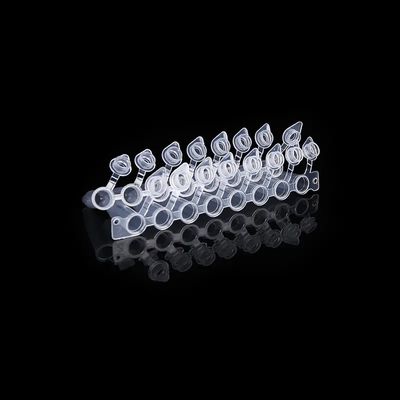 Giá tốt Nắp hình vòm 0,2ml Ống PCR 8 Dải có nắp kèm theo PCR Tám ống được kết nối trực tuyến