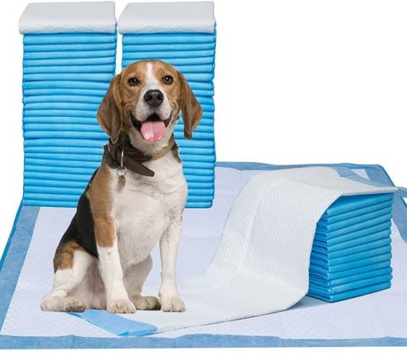 Giá tốt 45*50cm Huấn luyện tã cho chó con không thấm nước Nước tiểu dùng một lần cho chó đệm trực tuyến