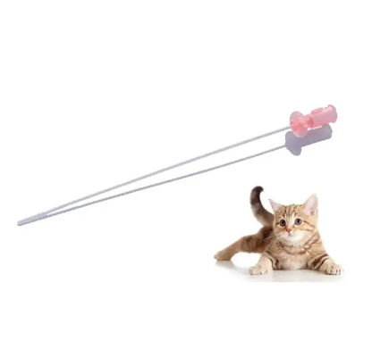 Giá tốt Catheter nội trú của mèo là giải pháp hoàn hảo cho các trường hợp khẩn cấp về nước tiểu của mèo trực tuyến