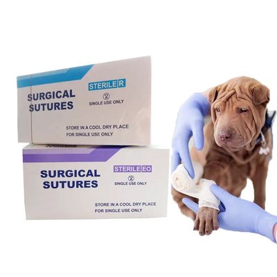 Giá tốt Nhơ phẫu thuật vô trùng nylon Nhơ monofilament nylon với kim Nylon lụa Chromic Catgut trực tuyến