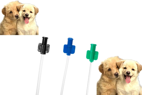 Giá tốt Ống thông tiểu cho chó bằng PVC, giữ lại và xả, ống cho thú cưng để chăm sóc đường tiết niệu cho chó trực tuyến