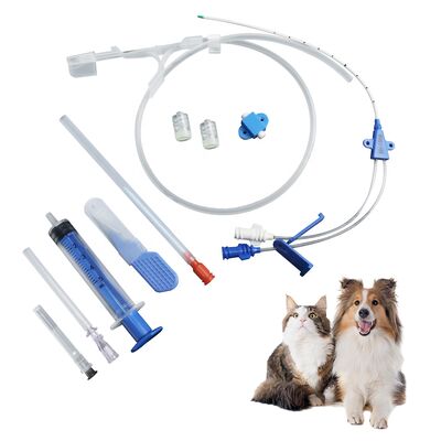 Giá tốt Bộ dụng cụ đặt Catheter tĩnh mạch trung tâm thú y loại II với thời hạn sử dụng 1 năm và vật liệu tương thích sinh học trực tuyến