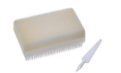 Giá tốt Bàn chải cọ tay dùng trong y tế – Thiết kế công thái học, sợi lông bền, kháng khuẩn cho môi trường chăm sóc sức khỏe trực tuyến